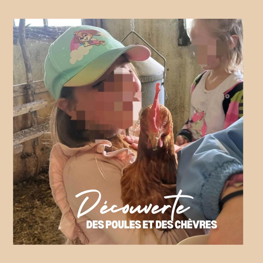 דירות Courcelon La Ferme Du Solvat מראה חיצוני תמונה